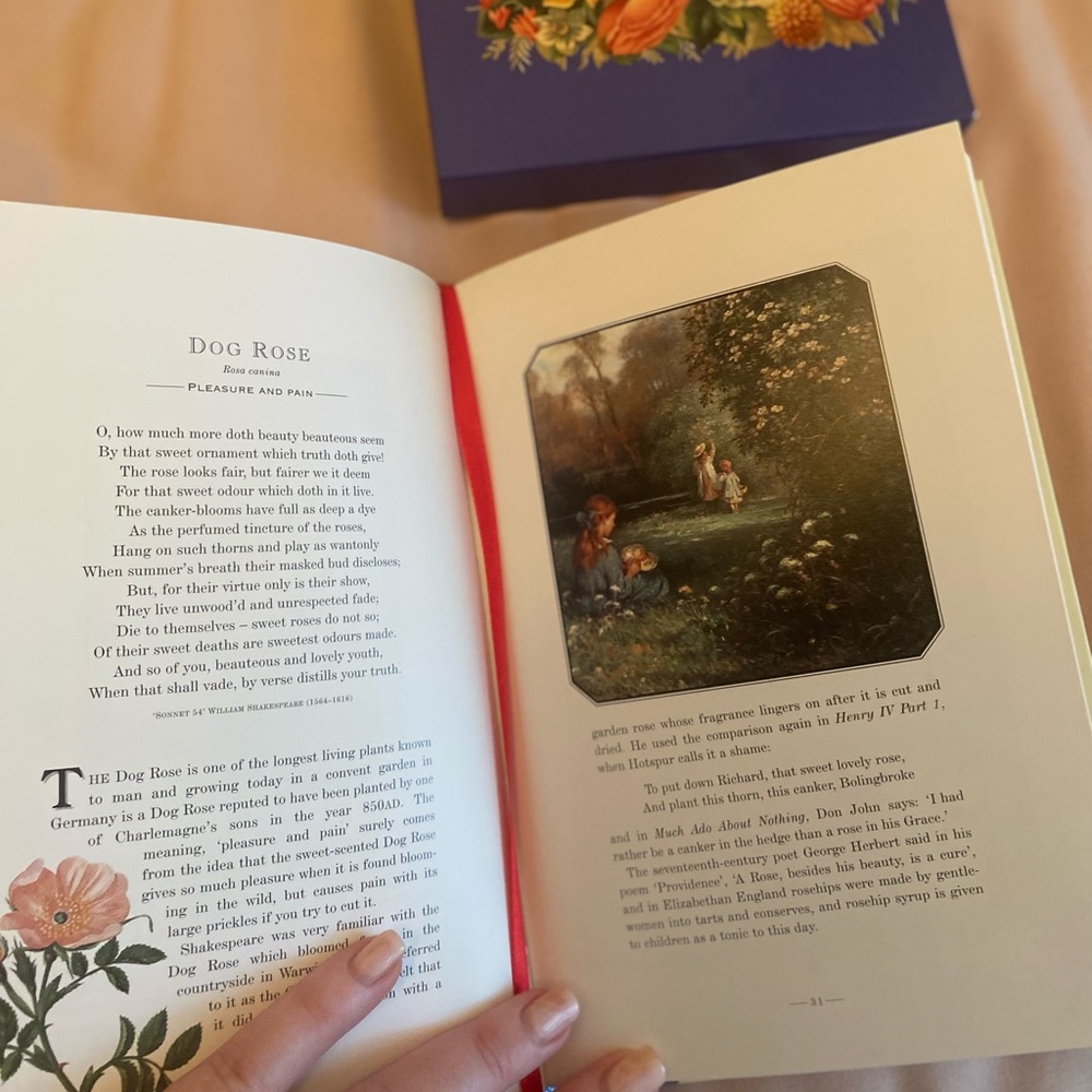 Brand new The Language of Wild Flowers hardcover book with cover